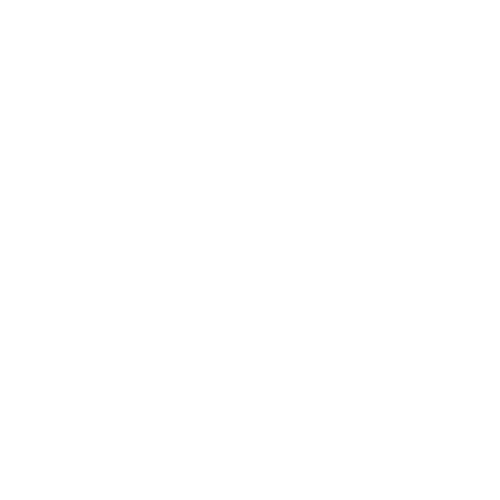 bimex